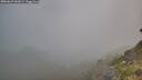 ./images/calvert/foggy-cove/20260621/foggy-cove20260621_062001M.jpg