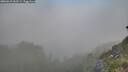 ./images/calvert/foggy-cove/20260621/foggy-cove20260621_062501M.jpg