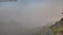 ./images/calvert/foggy-cove/20260621/foggy-cove20260621_063002M.jpg