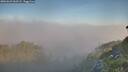 ./images/calvert/foggy-cove/20260621/foggy-cove20260621_063502M.jpg