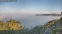 ./images/calvert/foggy-cove/20260621/foggy-cove20260621_065501M.jpg