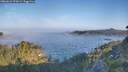 ./images/calvert/foggy-cove/20260621/foggy-cove20260621_070501M.jpg