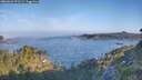 ./images/calvert/foggy-cove/20260621/foggy-cove20260621_071501M.jpg