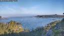 ./images/calvert/foggy-cove/20260621/foggy-cove20260621_072001M.jpg