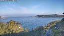 ./images/calvert/foggy-cove/20260621/foggy-cove20260621_072502M.jpg