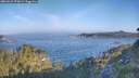 ./images/calvert/foggy-cove/20260621/foggy-cove20260621_073001M.jpg