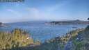 ./images/calvert/foggy-cove/20260621/foggy-cove20260621_073501M.jpg