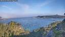 ./images/calvert/foggy-cove/20260621/foggy-cove20260621_074501M.jpg