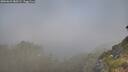 ./images/calvert/foggy-cove/20260621/foggy-cove20260621_080501M.jpg