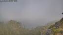 ./images/calvert/foggy-cove/20260621/foggy-cove20260621_081001M.jpg