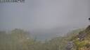 ./images/calvert/foggy-cove/20260621/foggy-cove20260621_081501M.jpg