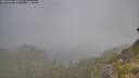 ./images/calvert/foggy-cove/20260621/foggy-cove20260621_082002M.jpg