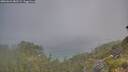 ./images/calvert/foggy-cove/20260621/foggy-cove20260621_082501M.jpg