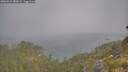 ./images/calvert/foggy-cove/20260621/foggy-cove20260621_083001M.jpg