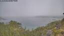 ./images/calvert/foggy-cove/20260621/foggy-cove20260621_091001M.jpg