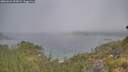 ./images/calvert/foggy-cove/20260621/foggy-cove20260621_092002M.jpg