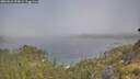 ./images/calvert/foggy-cove/20260621/foggy-cove20260621_093001M.jpg