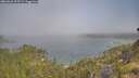 ./images/calvert/foggy-cove/20260621/foggy-cove20260621_093502M.jpg