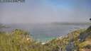 ./images/calvert/foggy-cove/20260621/foggy-cove20260621_095001M.jpg