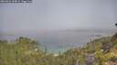 ./images/calvert/foggy-cove/20260621/foggy-cove20260621_100002M.jpg