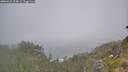 ./images/calvert/foggy-cove/20260621/foggy-cove20260621_104002M.jpg