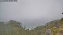./images/calvert/foggy-cove/20260621/foggy-cove20260621_105001M.jpg