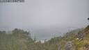 ./images/calvert/foggy-cove/20260621/foggy-cove20260621_110001M.jpg