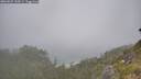 ./images/calvert/foggy-cove/20260621/foggy-cove20260621_110501M.jpg