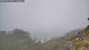 ./images/calvert/foggy-cove/20260621/foggy-cove20260621_111501M.jpg