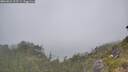 ./images/calvert/foggy-cove/20260621/foggy-cove20260621_112501M.jpg