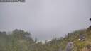 ./images/calvert/foggy-cove/20260621/foggy-cove20260621_113001M.jpg