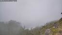 ./images/calvert/foggy-cove/20260621/foggy-cove20260621_113502M.jpg