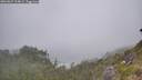 ./images/calvert/foggy-cove/20260621/foggy-cove20260621_114001M.jpg