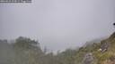 ./images/calvert/foggy-cove/20260621/foggy-cove20260621_114501M.jpg