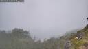 ./images/calvert/foggy-cove/20260621/foggy-cove20260621_115002M.jpg