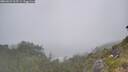 ./images/calvert/foggy-cove/20260621/foggy-cove20260621_115501M.jpg