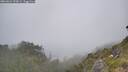 ./images/calvert/foggy-cove/20260621/foggy-cove20260621_120002M.jpg