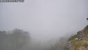 ./images/calvert/foggy-cove/20260621/foggy-cove20260621_120501M.jpg