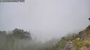 ./images/calvert/foggy-cove/20260621/foggy-cove20260621_121501M.jpg