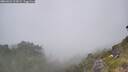 ./images/calvert/foggy-cove/20260621/foggy-cove20260621_122001M.jpg