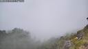 ./images/calvert/foggy-cove/20260621/foggy-cove20260621_122501M.jpg