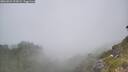 ./images/calvert/foggy-cove/20260621/foggy-cove20260621_123001M.jpg