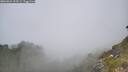 ./images/calvert/foggy-cove/20260621/foggy-cove20260621_123501M.jpg