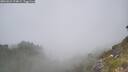 ./images/calvert/foggy-cove/20260621/foggy-cove20260621_124001M.jpg