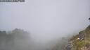 ./images/calvert/foggy-cove/20260621/foggy-cove20260621_124502M.jpg