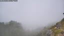 ./images/calvert/foggy-cove/20260621/foggy-cove20260621_125001M.jpg