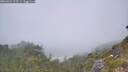 ./images/calvert/foggy-cove/20260621/foggy-cove20260621_125501M.jpg