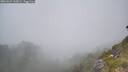 ./images/calvert/foggy-cove/20260621/foggy-cove20260621_130001M.jpg