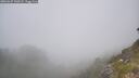 ./images/calvert/foggy-cove/20260621/foggy-cove20260621_130501M.jpg