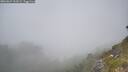 ./images/calvert/foggy-cove/20260621/foggy-cove20260621_131002M.jpg